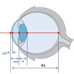 ESQUEMA OJO